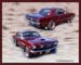 SV29-1968-Mustang-Candy-Brandy-Wine